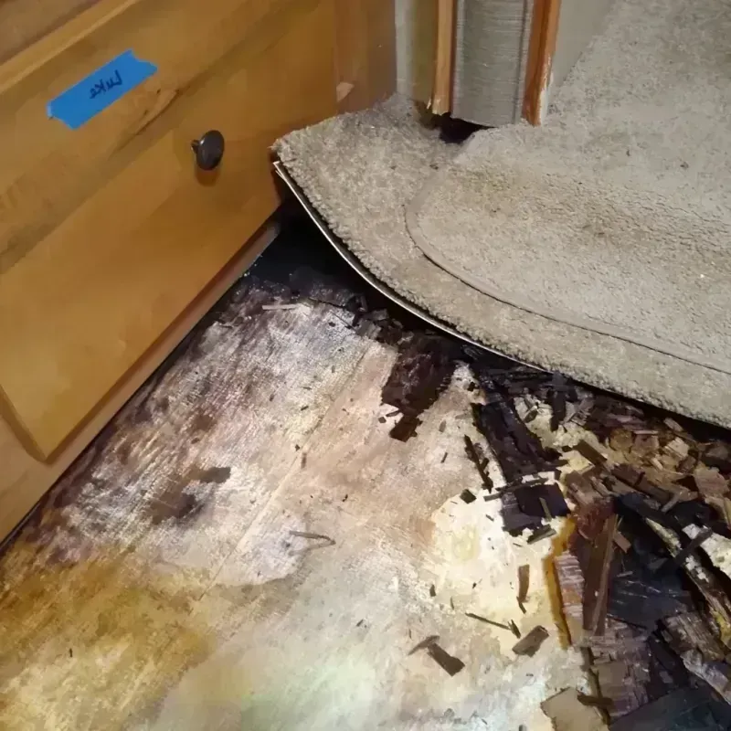 Wood Floor Water Damage in Seymour, TN